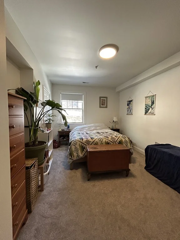 2 bed, 1 bath apartment for rent at 43 Pitman St Unit 303, Spring Hill — photo 6 of 12