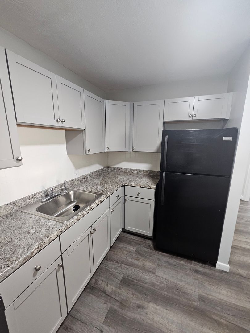 1 bed, 1 bath apartment for rent at 430 River St Unit 19, Mattapan — photo 4 of 12