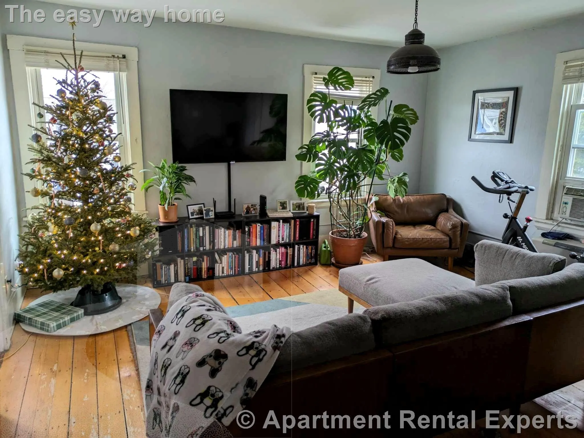 1 bed, 1 bath apartment for rent at 434 Franklin St Unit 3, Central Square — photo 1 of 6