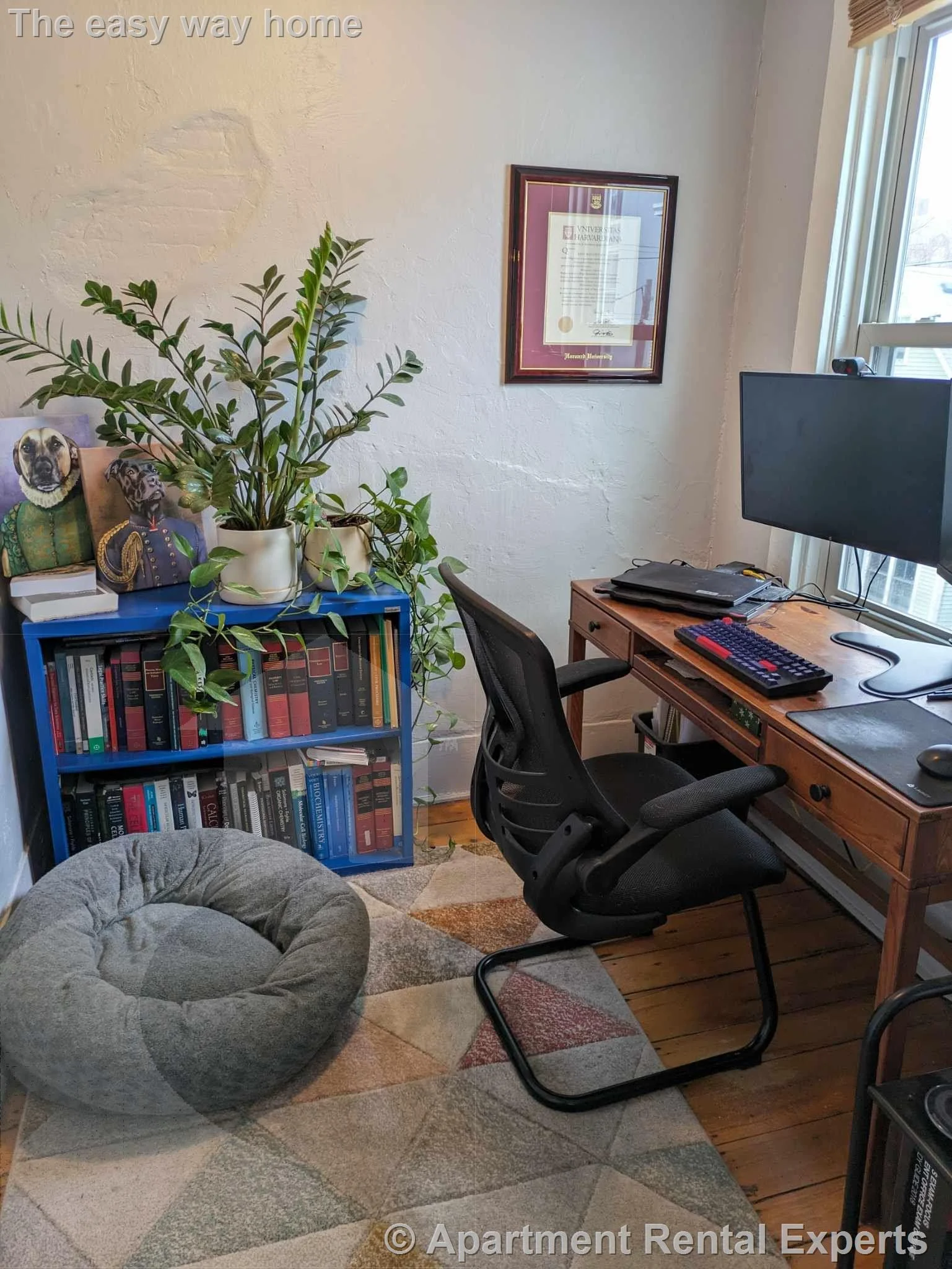1 bed, 1 bath apartment for rent at 434 Franklin St Unit 3, Central Square — photo 5 of 6