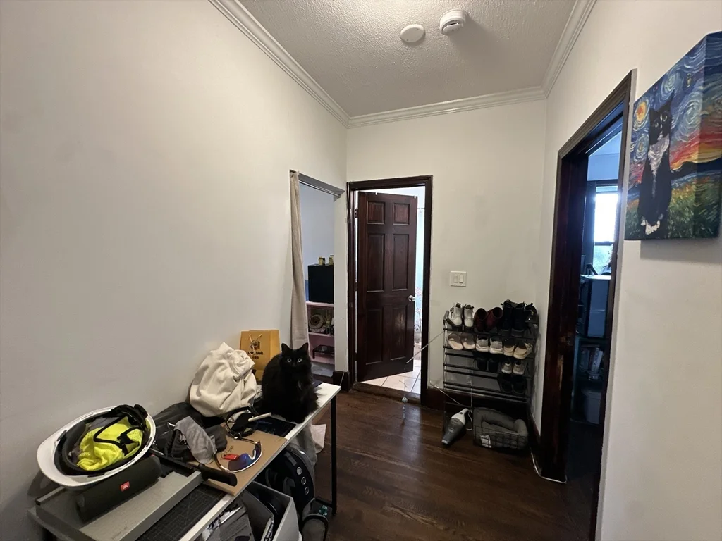 1 bed, 1 bath apartment for rent at 435 Walnut Ave Unit 8, Jamaica Plain — photo 8 of 12