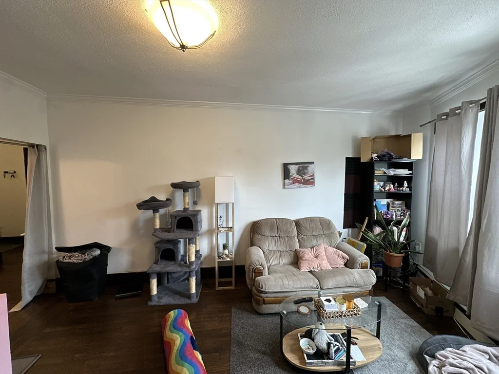 1 bed, 1 bath apartment for rent at 435 Walnut Ave Unit 8, Jamaica Plain — photo 3 of 12