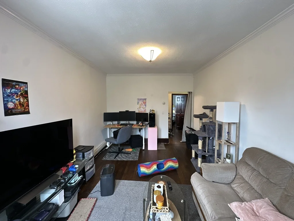 1 bed, 1 bath apartment for rent at 435 Walnut Ave Unit 8, Jamaica Plain — photo 2 of 12