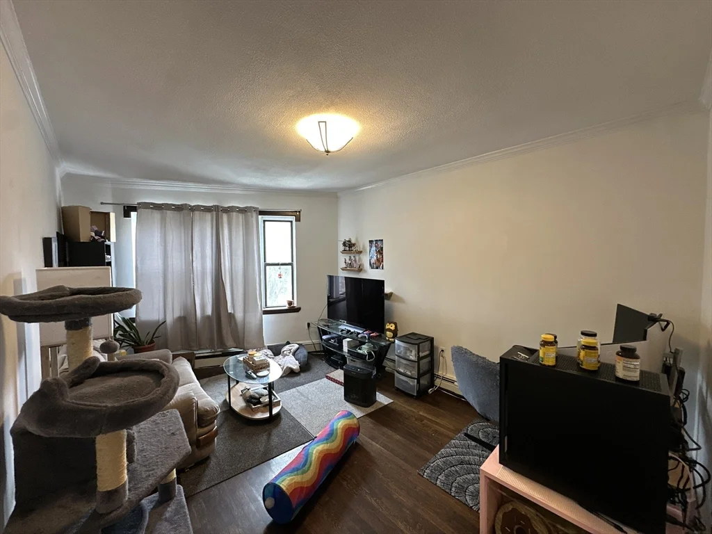 1 bed, 1 bath apartment for rent at 435 Walnut Ave Unit 8, Jamaica Plain