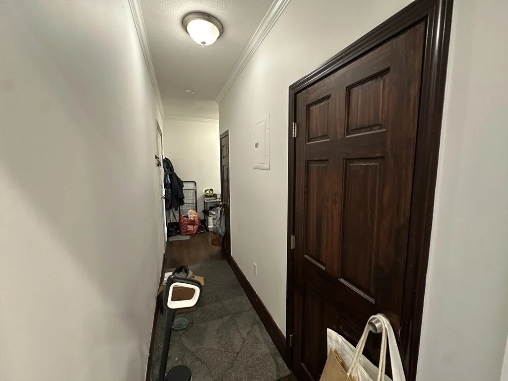 1 bed, 1 bath apartment for rent at 435 Walnut Ave Unit 8, Jamaica Plain — photo 9 of 12