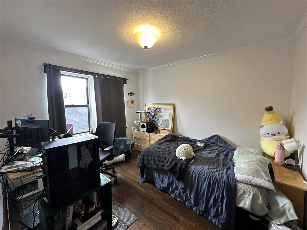 1 bed, 1 bath apartment for rent at 435 Walnut Ave Unit 8, Jamaica Plain — photo 4 of 12