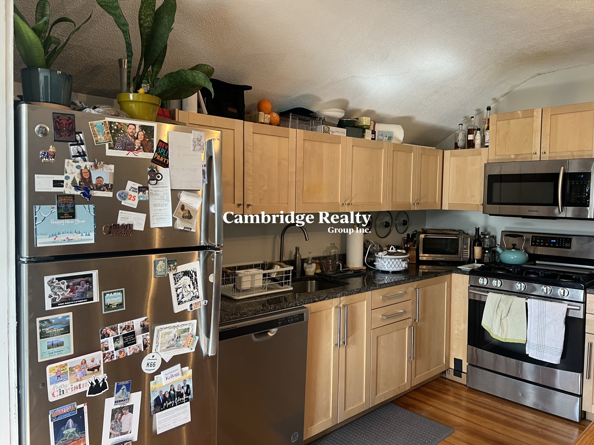 3 bed, 1 bath apartment for rent at 44 Berkeley St Unit 3, Spring Hill — photo 2 of 13