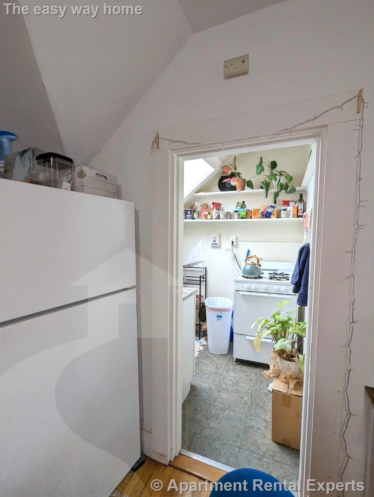 Studio bed, 1 bath apartment for rent at 44 Central St Unit 6, Spring Hill — photo 5 of 12