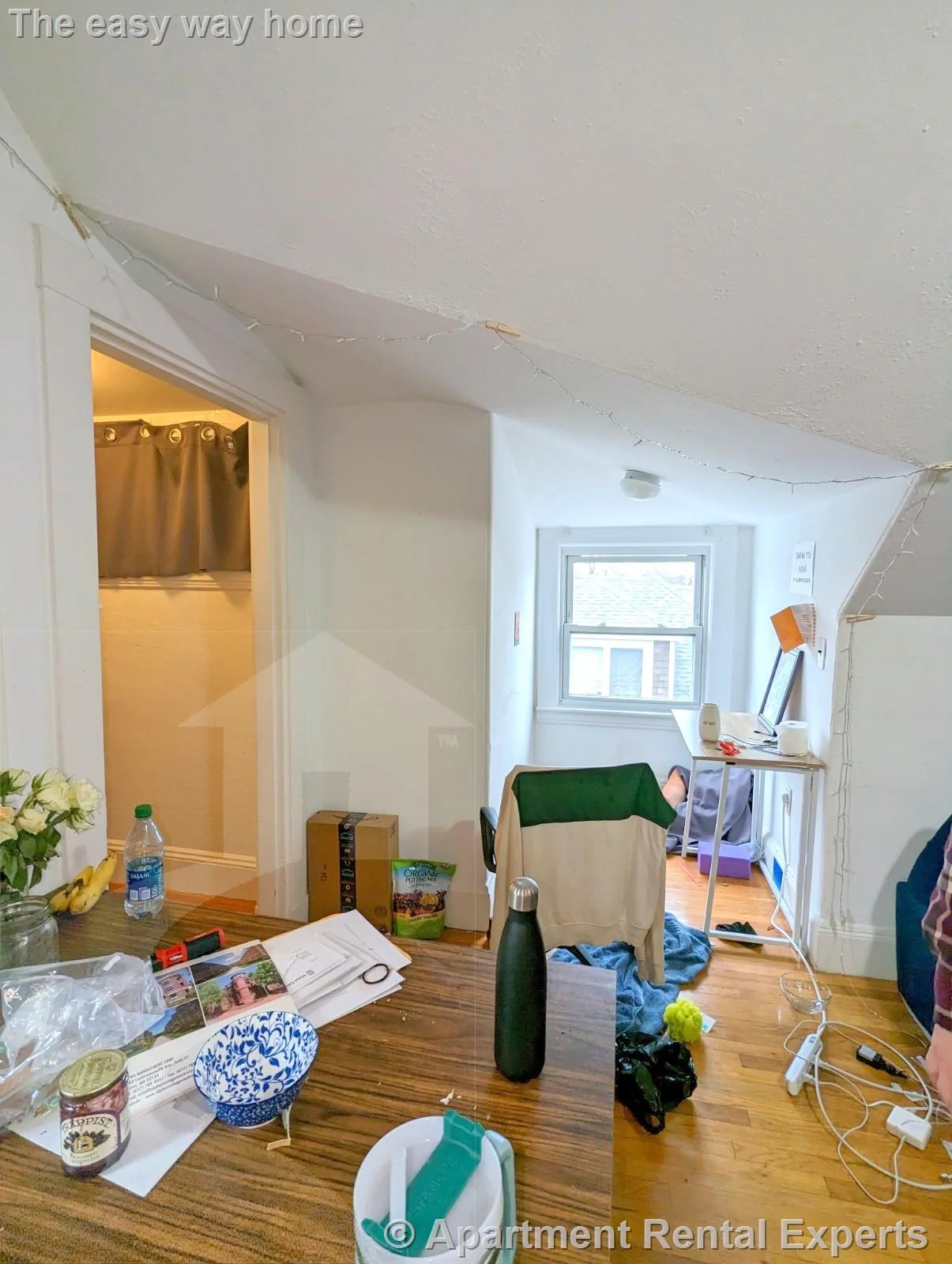 Studio bed, 1 bath apartment for rent at 44 Central St Unit 6, Spring Hill — photo 10 of 12