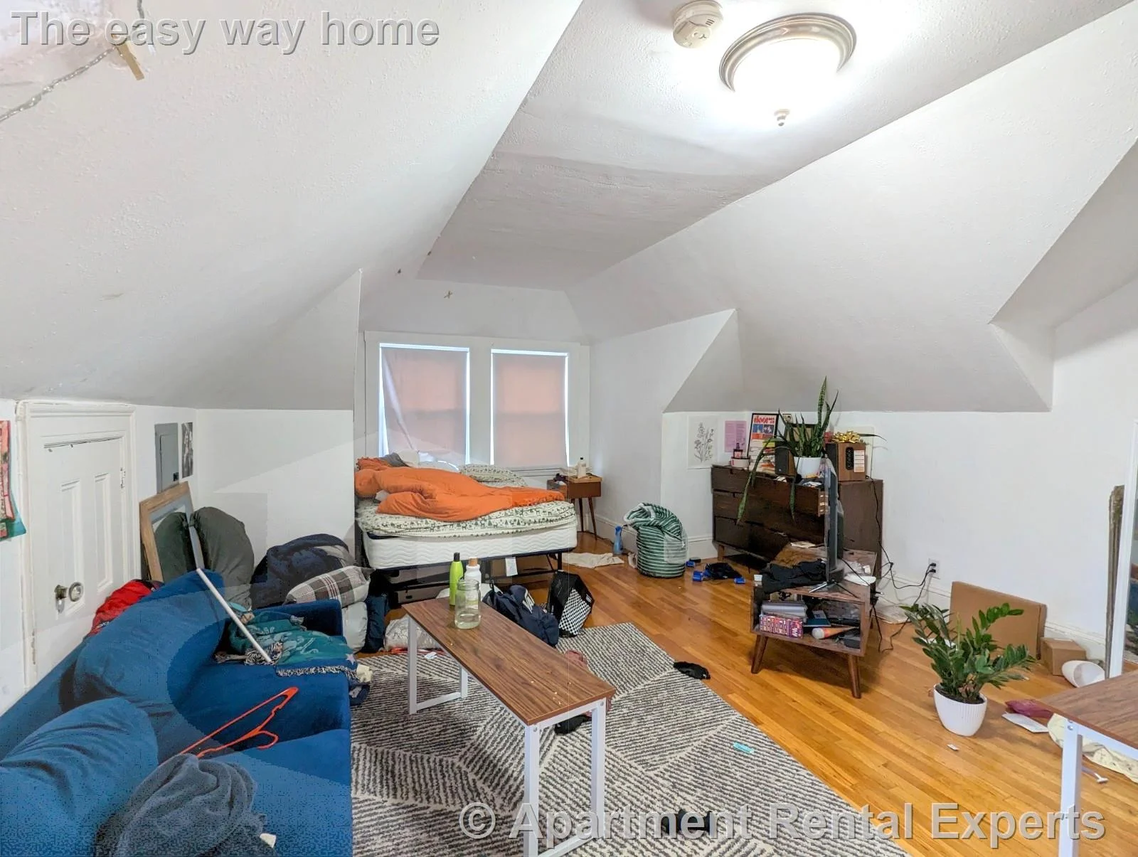 Studio bed, 1 bath apartment for rent at 44 Central St Unit 6, Spring Hill — photo 3 of 12