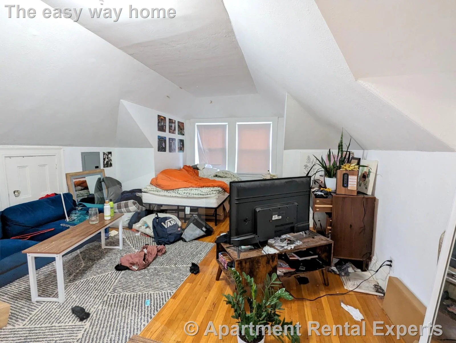 Studio bed, 1 bath apartment for rent at 44 Central St Unit 6, Spring Hill — photo 11 of 12