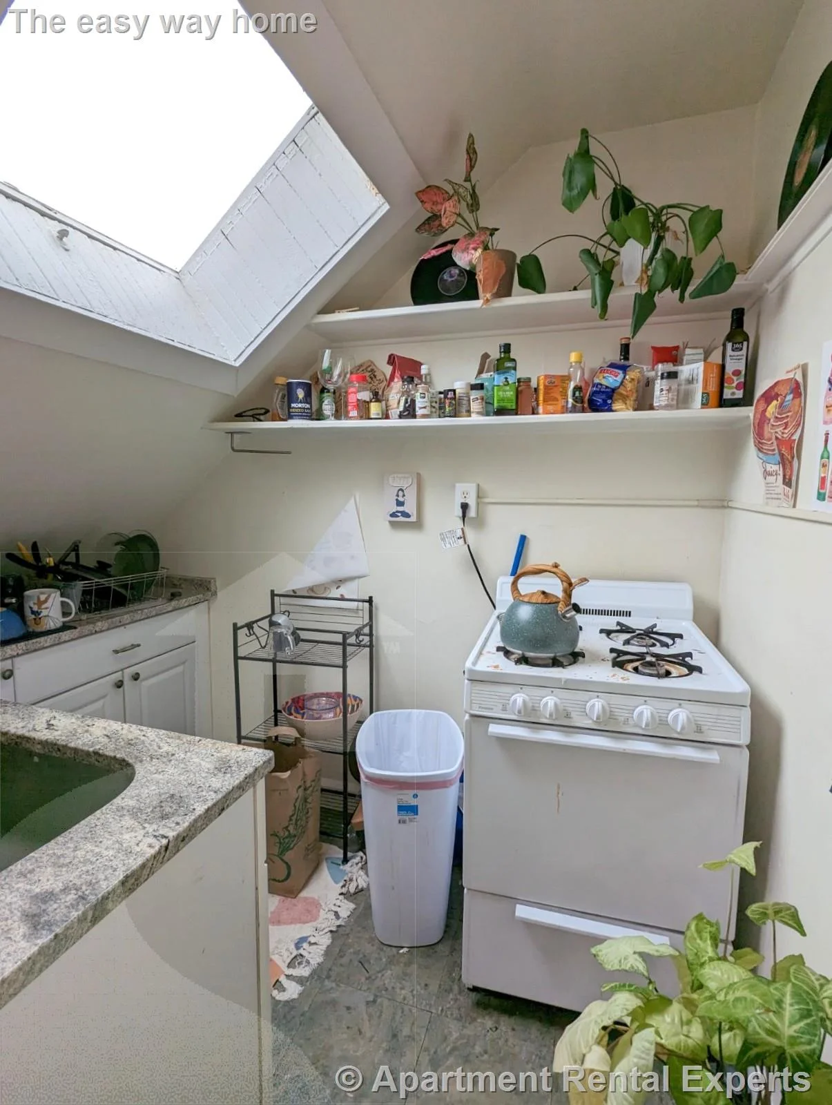 Studio bed, 1 bath apartment for rent at 44 Central St Unit 6, Spring Hill — photo 6 of 12