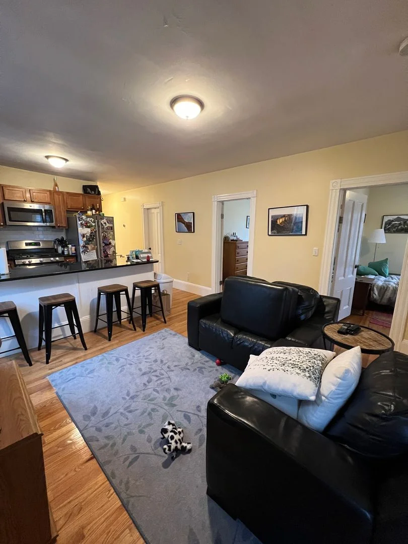 4 bed, 2 bath apartment for rent at 44 Gorham St Unit 3, Davis Square — photo 2 of 7