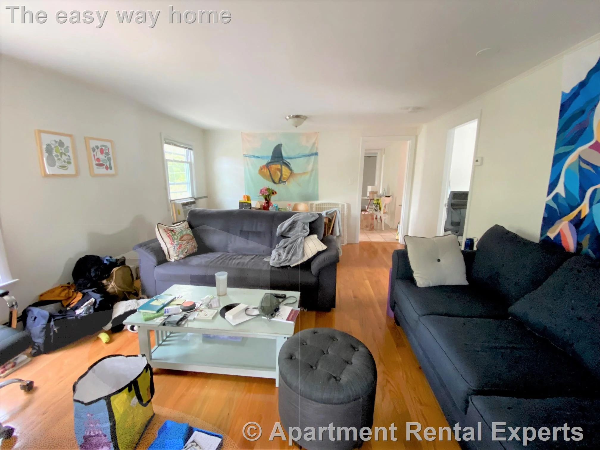 3 bed, 1 bath apartment for rent at 44 Lincoln St, Inman Square — photo 3 of 12
