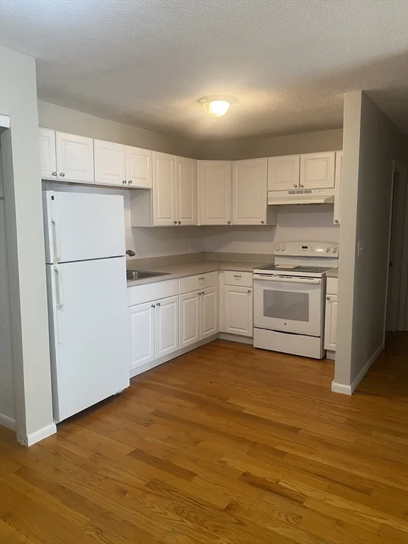 1 bed, 1 bath apartment for rent at 44 Maple St Unit 203, Hyde Park — photo 2 of 29