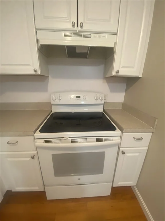1 bed, 1 bath apartment for rent at 44 Maple St Unit 203, Hyde Park — photo 3 of 29