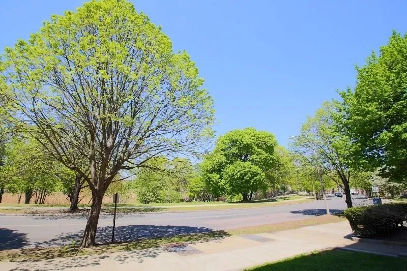 1 bed, 1 bath apartment for rent at 44 The Fenway Unit 8, Fenway — photo 5 of 5