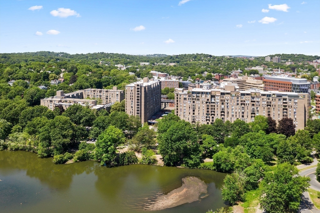 1 bed, 1 bath apartment for rent at 44 Washington St Unit 1004, Longwood — photo 10 of 12