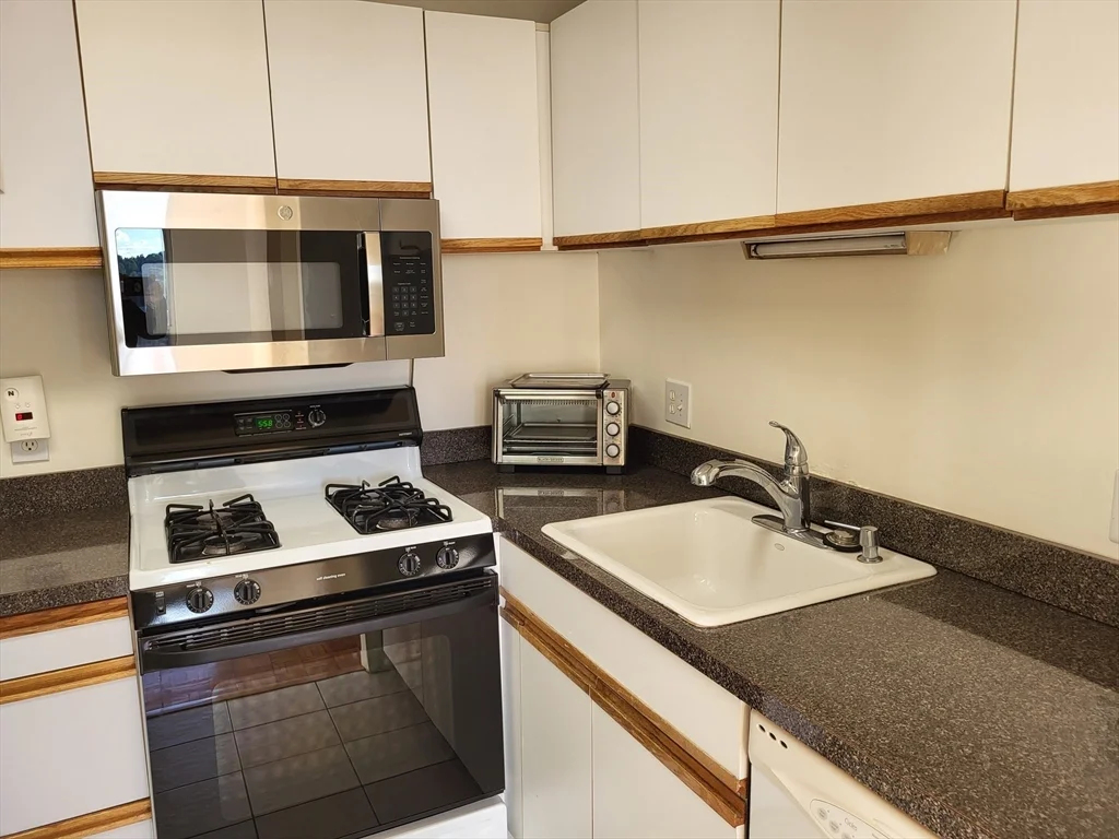 1 bed, 1 bath apartment for rent at 44 Washington St Unit 1018, Brookline Village — photo 1 of 29
