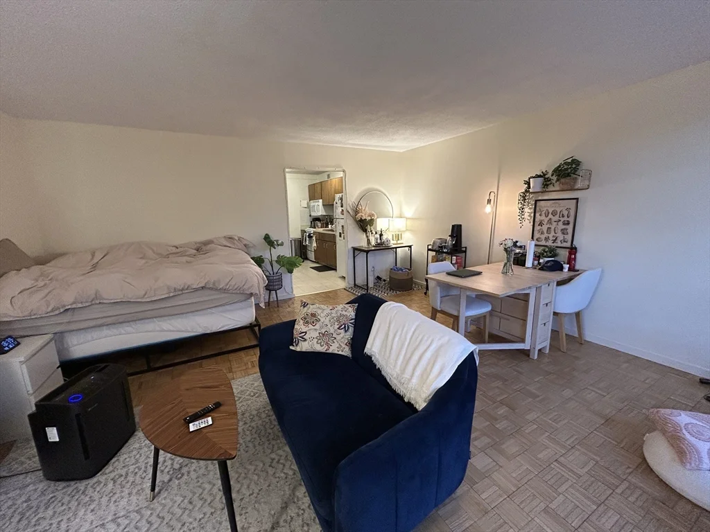 Studio bed, 1 bath apartment for rent at 44 Washington St Unit 312, Brookline Village — photo 2 of 11