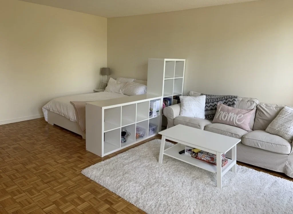 Studio bed, 1 bath apartment for rent at 44 Washington St Unit 407, Brookline — photo 4 of 17