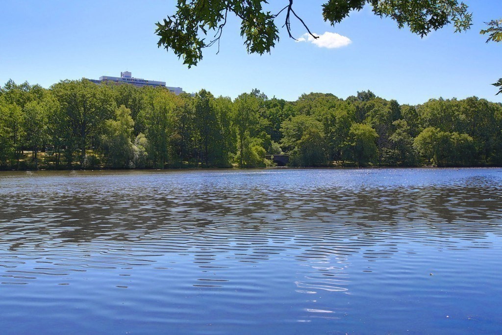 2 bed, 2 bath apartment for rent at 44 Washington St Unit 602, Brookline — photo 12 of 12