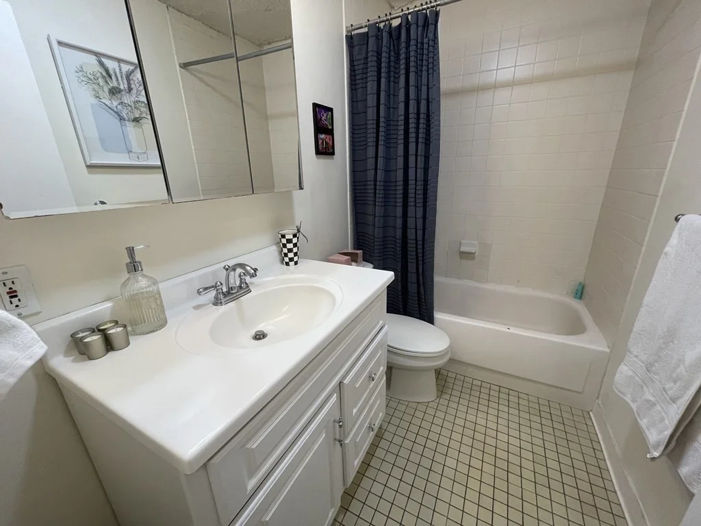 1 bed, 1 bath apartment for rent at 44 Washington St Unit 704, Brookline Village — photo 7 of 15