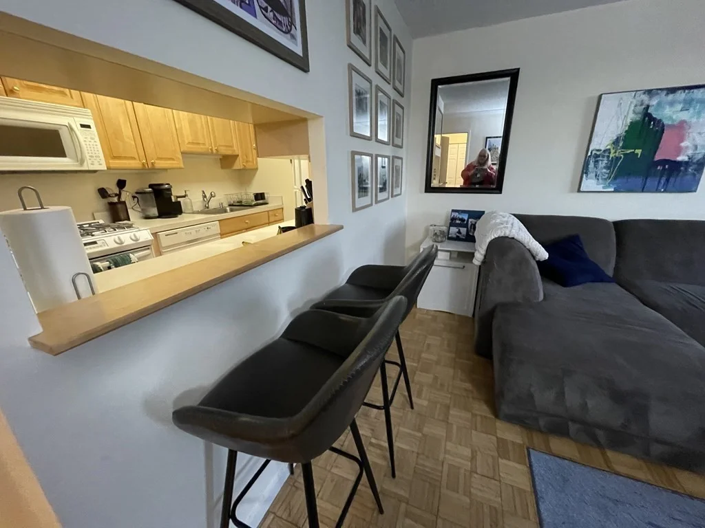 1 bed, 1 bath apartment for rent at 44 Washington St Unit 704, Brookline Village — photo 4 of 15