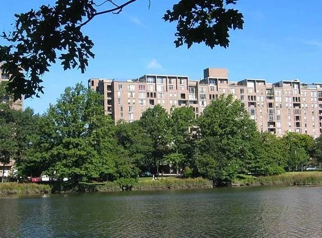 Studio bed, 1 bath apartment for rent at 44 Washington St Unit 706, Brookline Village — photo 5 of 9