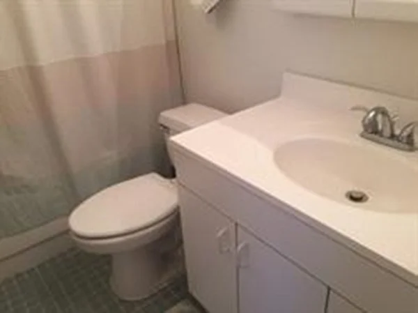 1 bed, 1 bath apartment for rent at 44 Washington St Unit 817, Brookline Village — photo 7 of 20