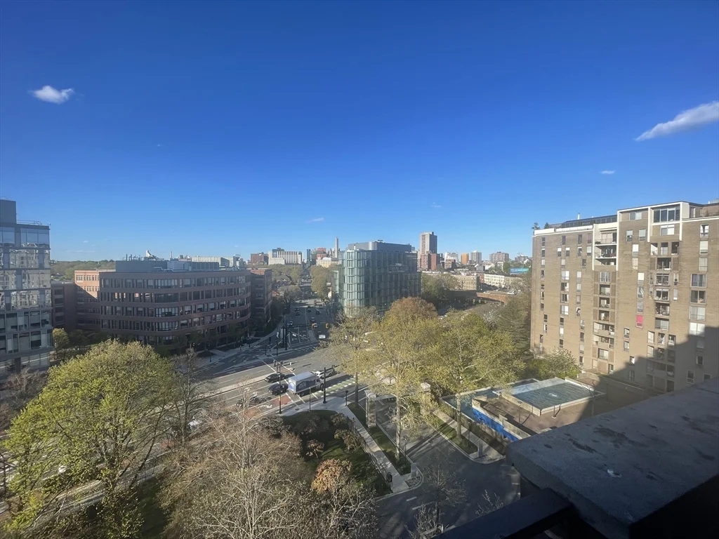 Studio bed, 1 bath apartment for rent at 44 Washington Unit 1009, Brookline Village — photo 6 of 12