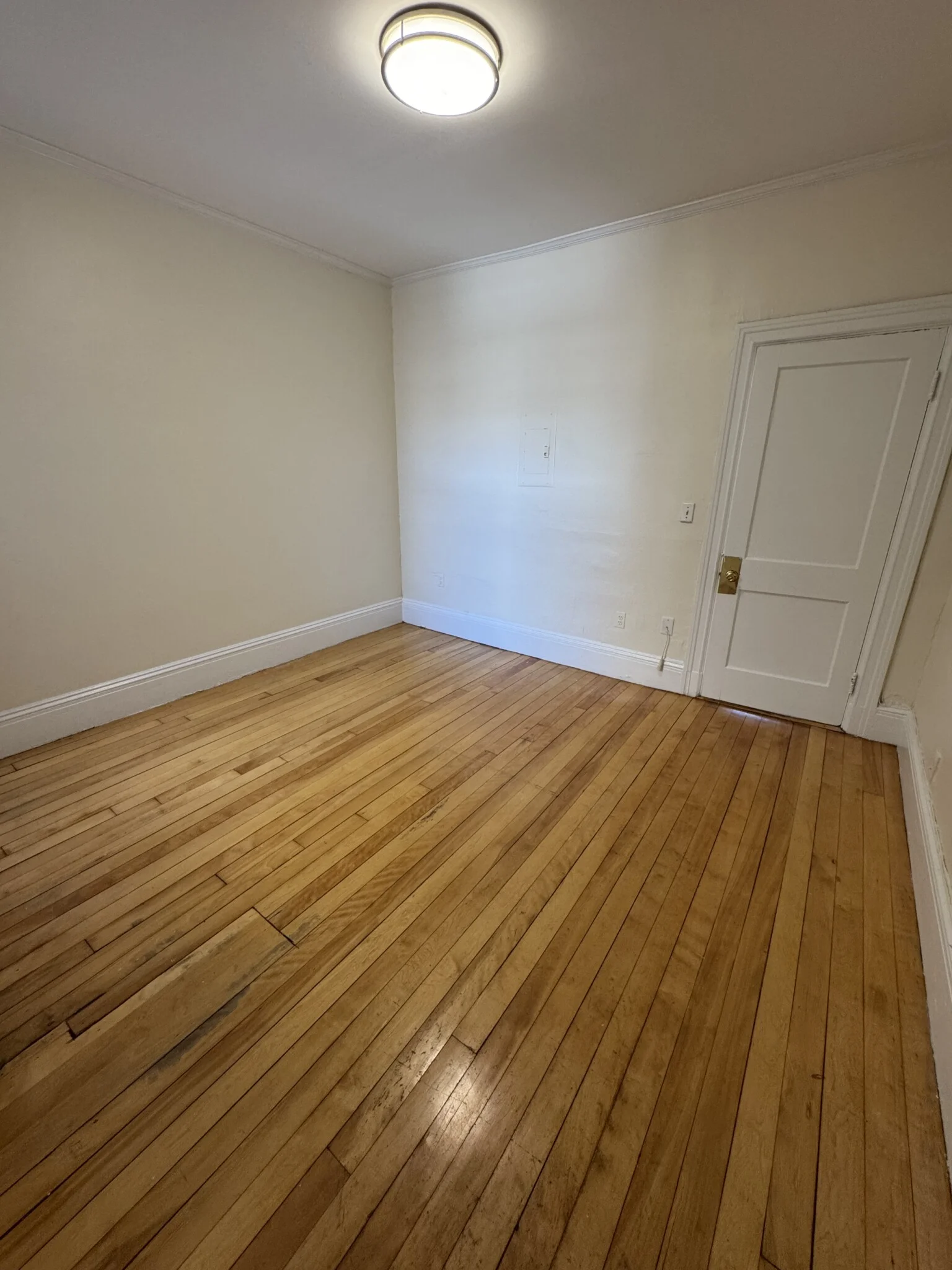 1 bed, 1 bath apartment for rent at 441 Cambridge St Unit 3, Allston — photo 7 of 7