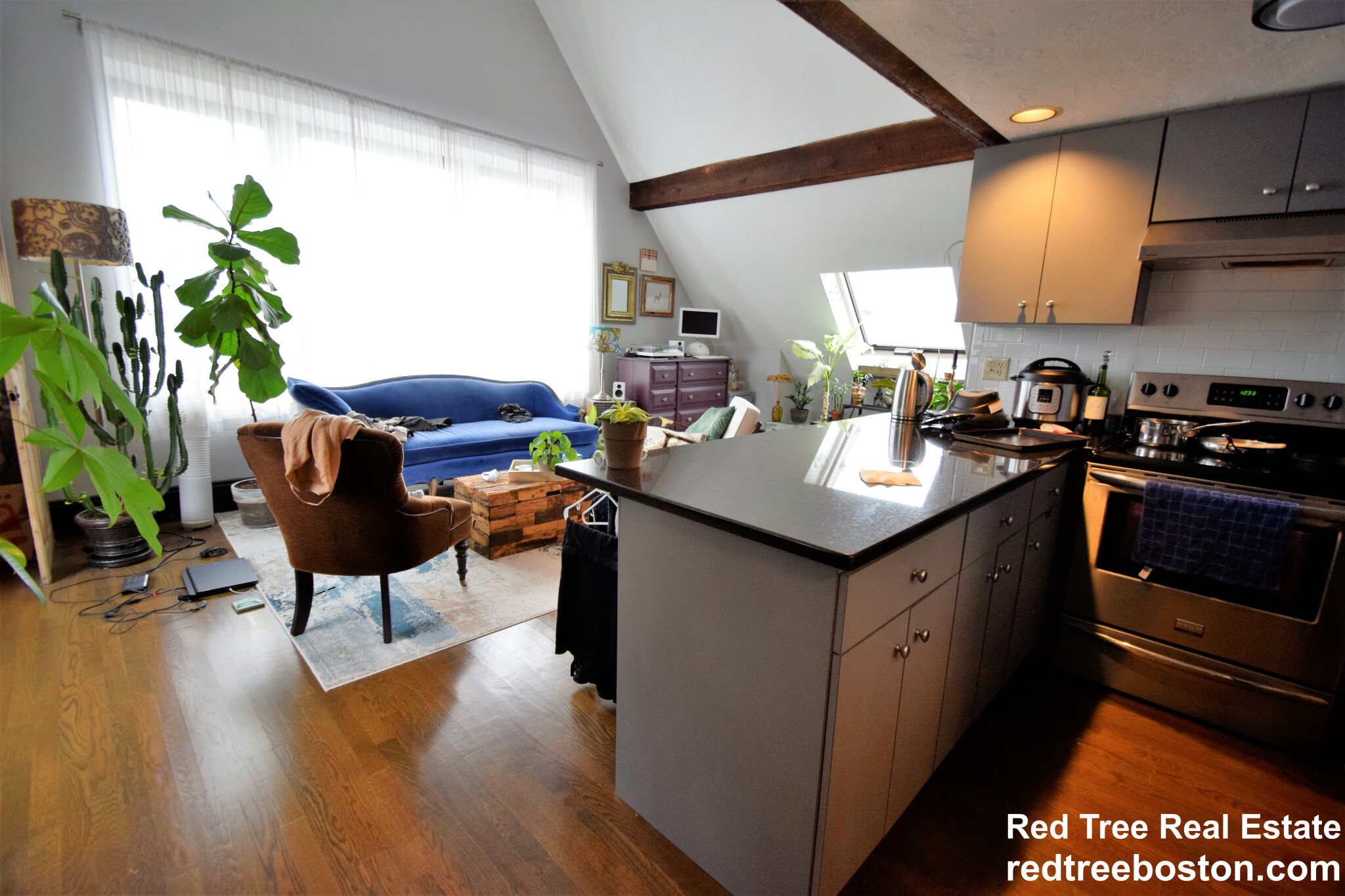 1 bed, 1 bath apartment for rent at 444 Western Ave Unit 6, Brighton — photo 10 of 37