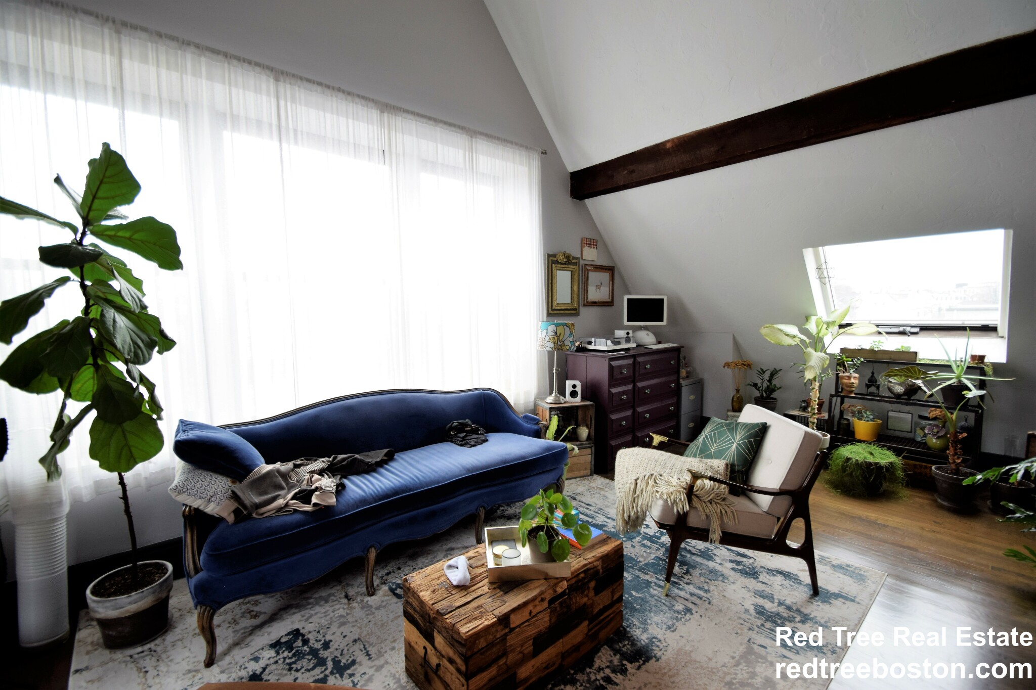 1 bed, 1 bath apartment for rent at 444 Western Ave Unit 6, Brighton — photo 7 of 37