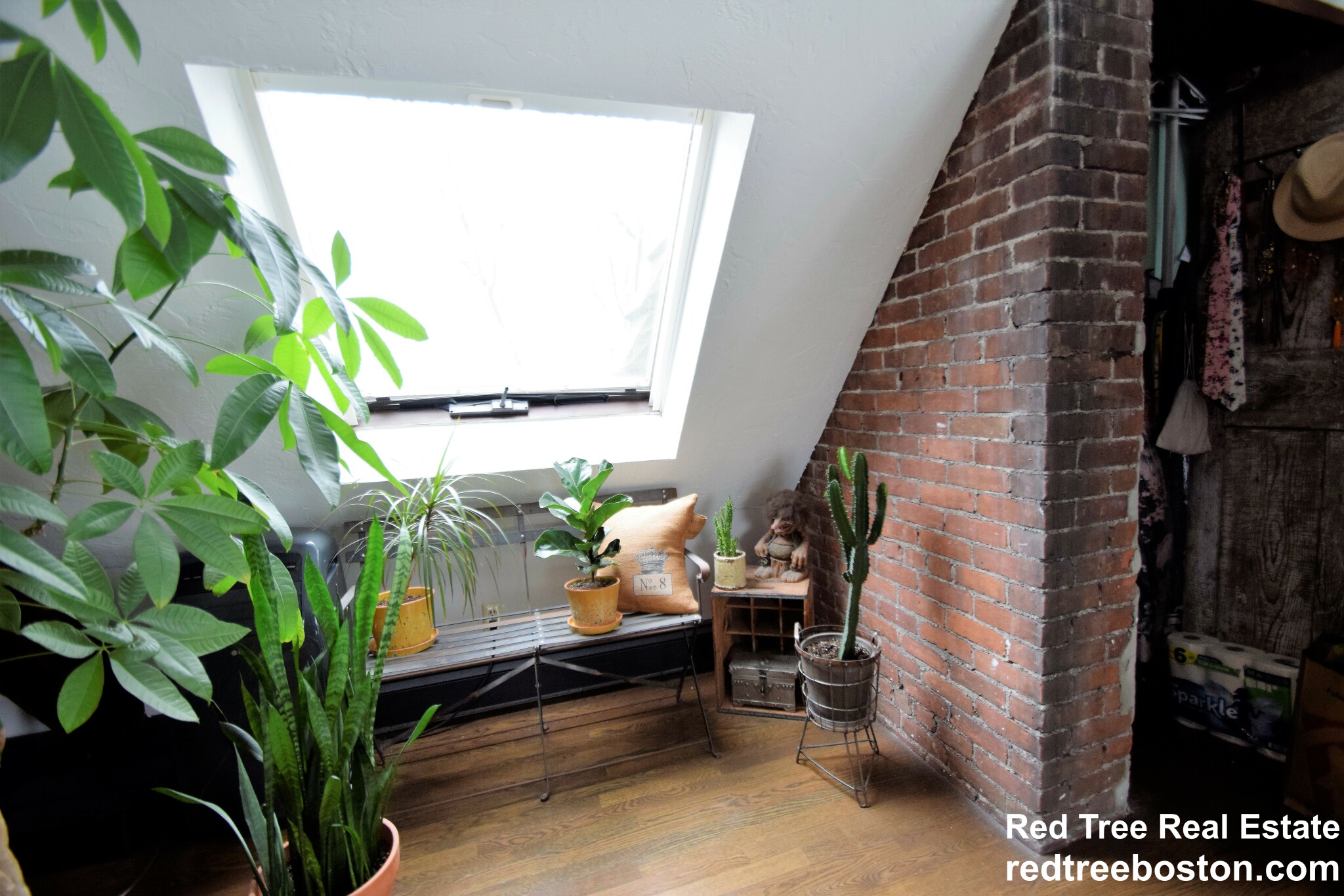 1 bed, 1 bath apartment for rent at 444 Western Ave Unit 6, Brighton — photo 12 of 37