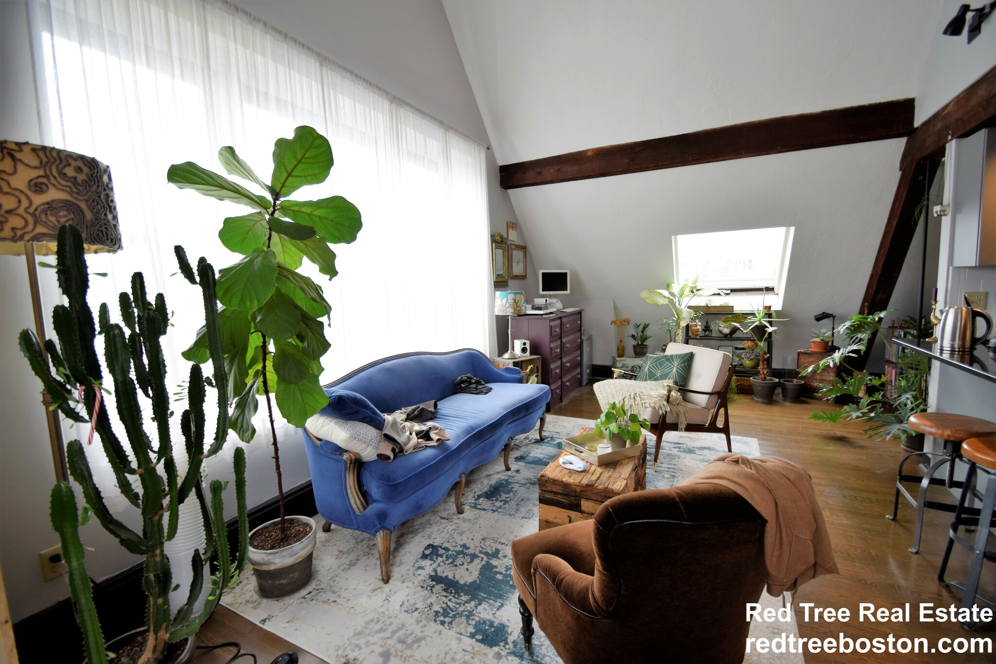1 bed, 1 bath apartment for rent at 444 Western Ave Unit 6, Brighton — photo 3 of 37