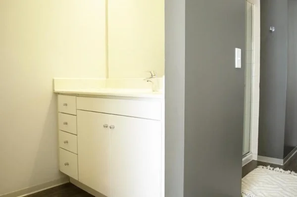 2 bed, 2 bath apartment for rent at 445 Artisan Way Unit 498, Porter Square — photo 8 of 9