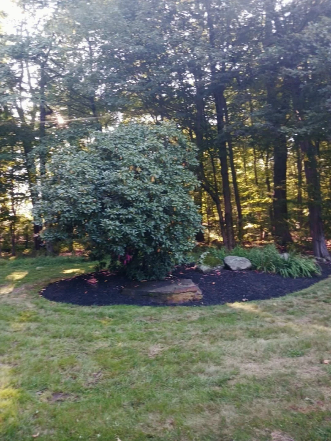 3 bed, 2 bath apartment for rent at 445 Green St, Northborough — photo 10 of 33