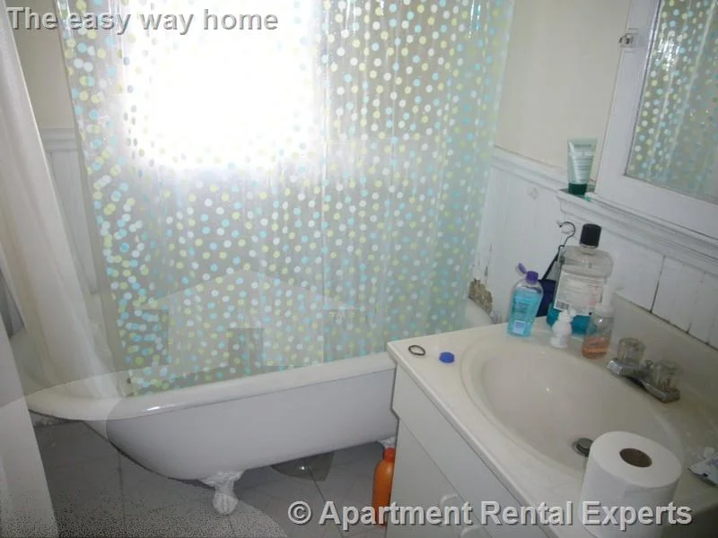 2 bed, 1 bath apartment for rent at 448 Broadway Unit 6, Harvard Square — photo 5 of 6