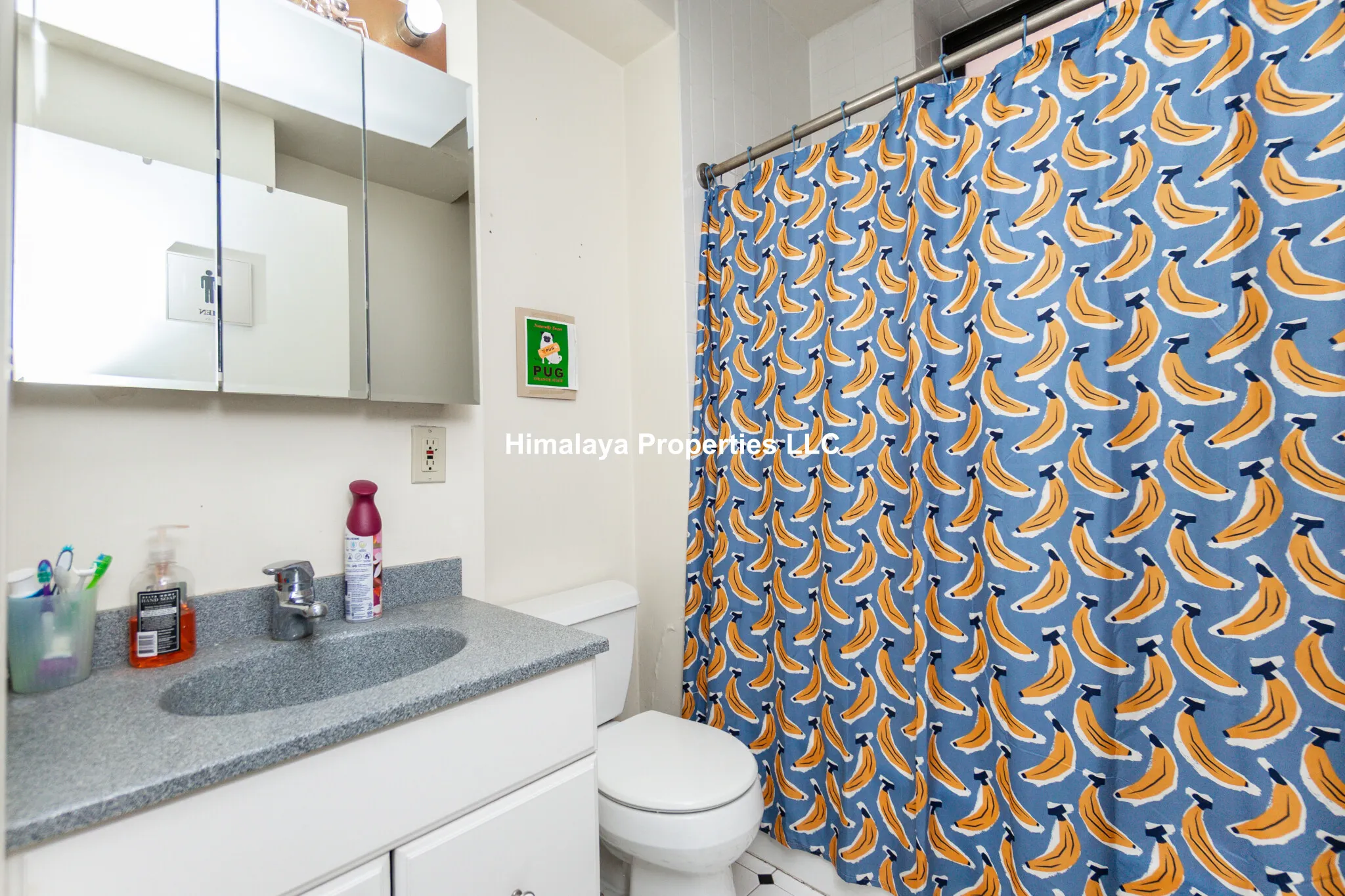 5 bed, 2 bath apartment for rent at 448 Park Dr Unit 4, Fenway — photo 24 of 34