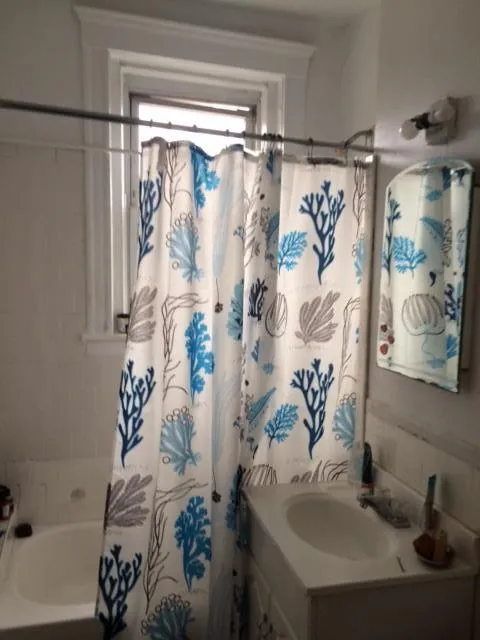 1 bed, 1 bath apartment for rent at 45 Ashford St Unit 18, Allston — photo 8 of 12