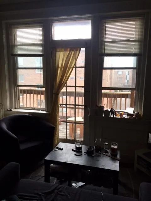 1 bed, 1 bath apartment for rent at 45 Ashford St Unit 188, Allston — photo 6 of 12