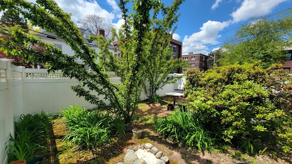 2 bed, 1 bath apartment for rent at 45 Auburn St Unit 3, Coolidge Corner — photo 13 of 13
