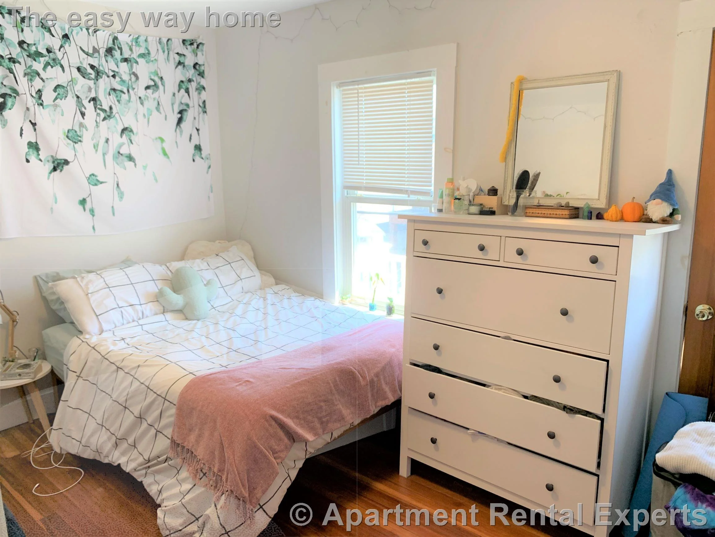 5 bed, 1 bath apartment for rent at 45 Bowdoin St Unit 2, Tufts — photo 12 of 15