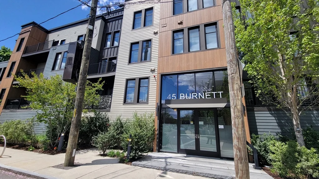 3 bed, 2 bath apartment for rent at 45 Burnett Unit 206, Jamaica Plain — photo 1 of 12
