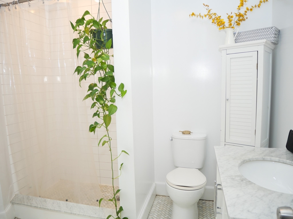 1 bed, 1 bath apartment for rent at 45 Carlton Unit 3, Longwood — photo 5 of 6