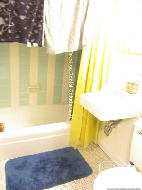 Studio bed, 1 bath apartment for rent at 45 Chester St Unit B2, Brighton — photo 3 of 7
