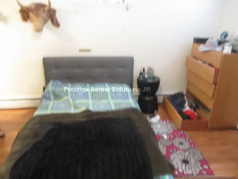 Studio bed, 1 bath apartment for rent at 45 Chester St Unit B2, Brighton — photo 5 of 7