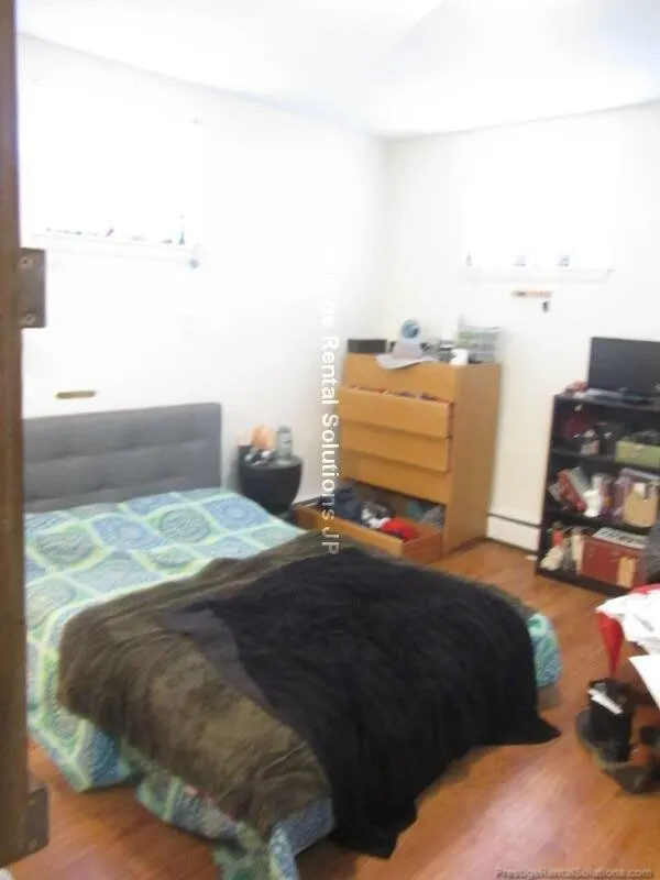 Studio bed, 1 bath apartment for rent at 45 Chester St Unit B2, Brighton — photo 6 of 7
