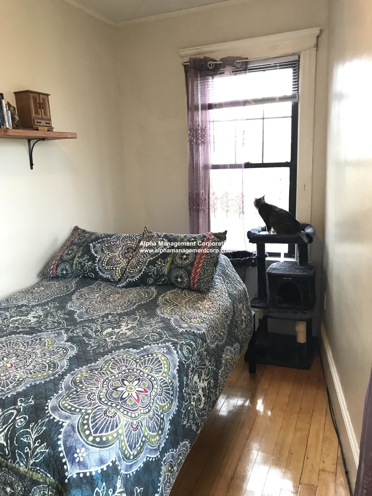 2 bed, 1 bath apartment for rent at 45 Gordon St Unit 5, Brighton — photo 13 of 15